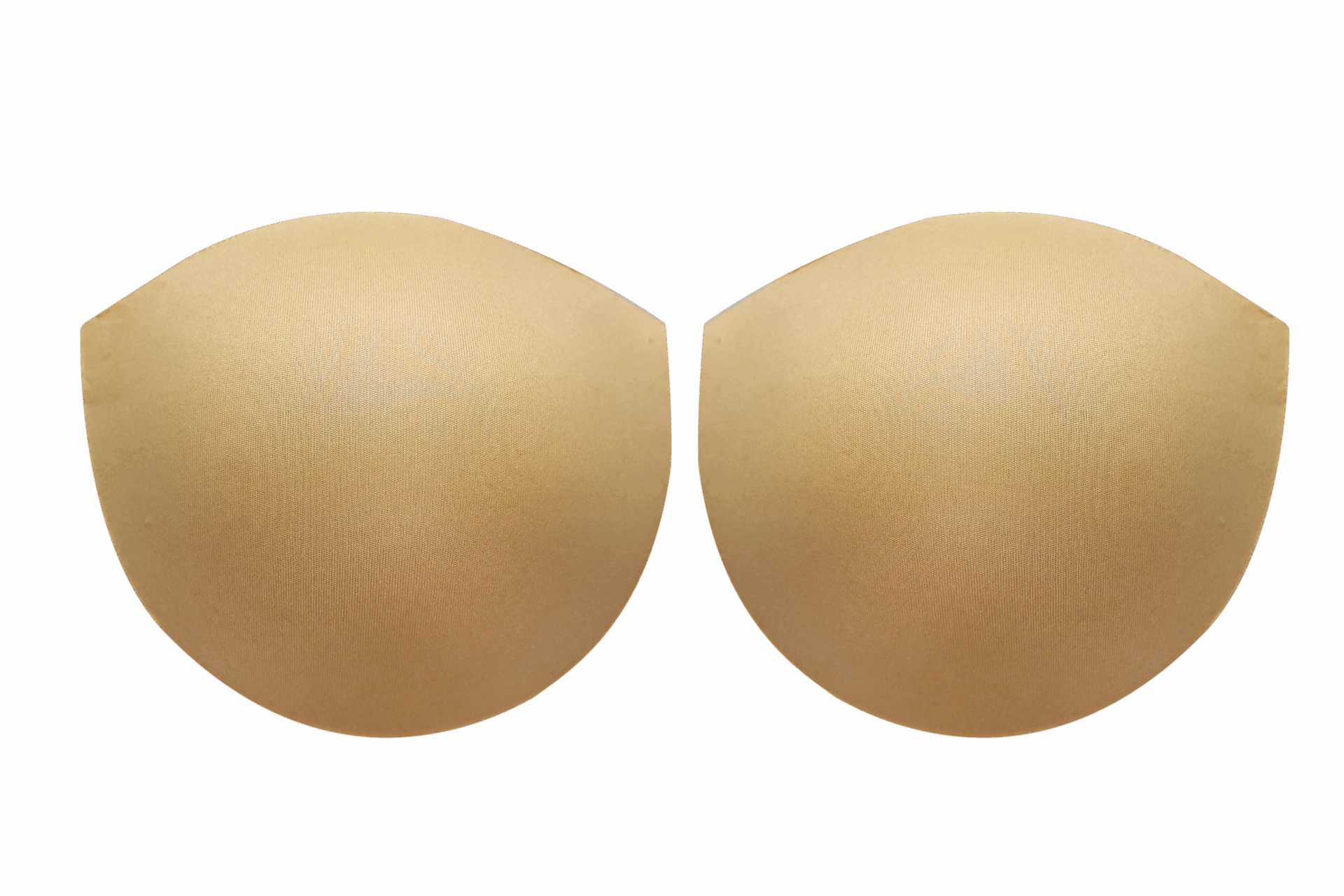 CC019